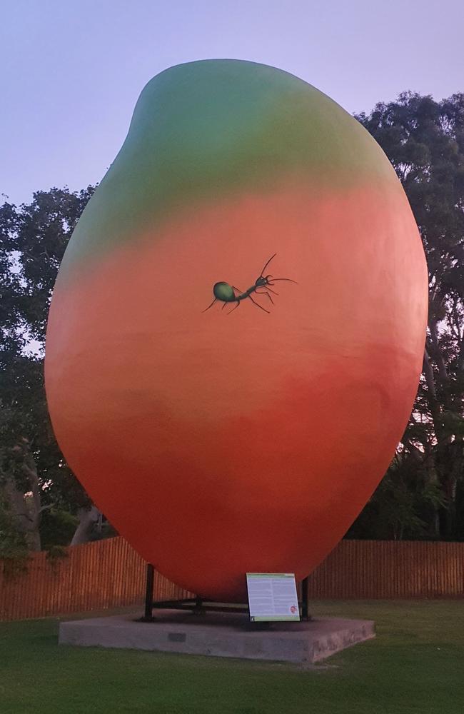 The Big Mango in Bowen. Photo: Contributed