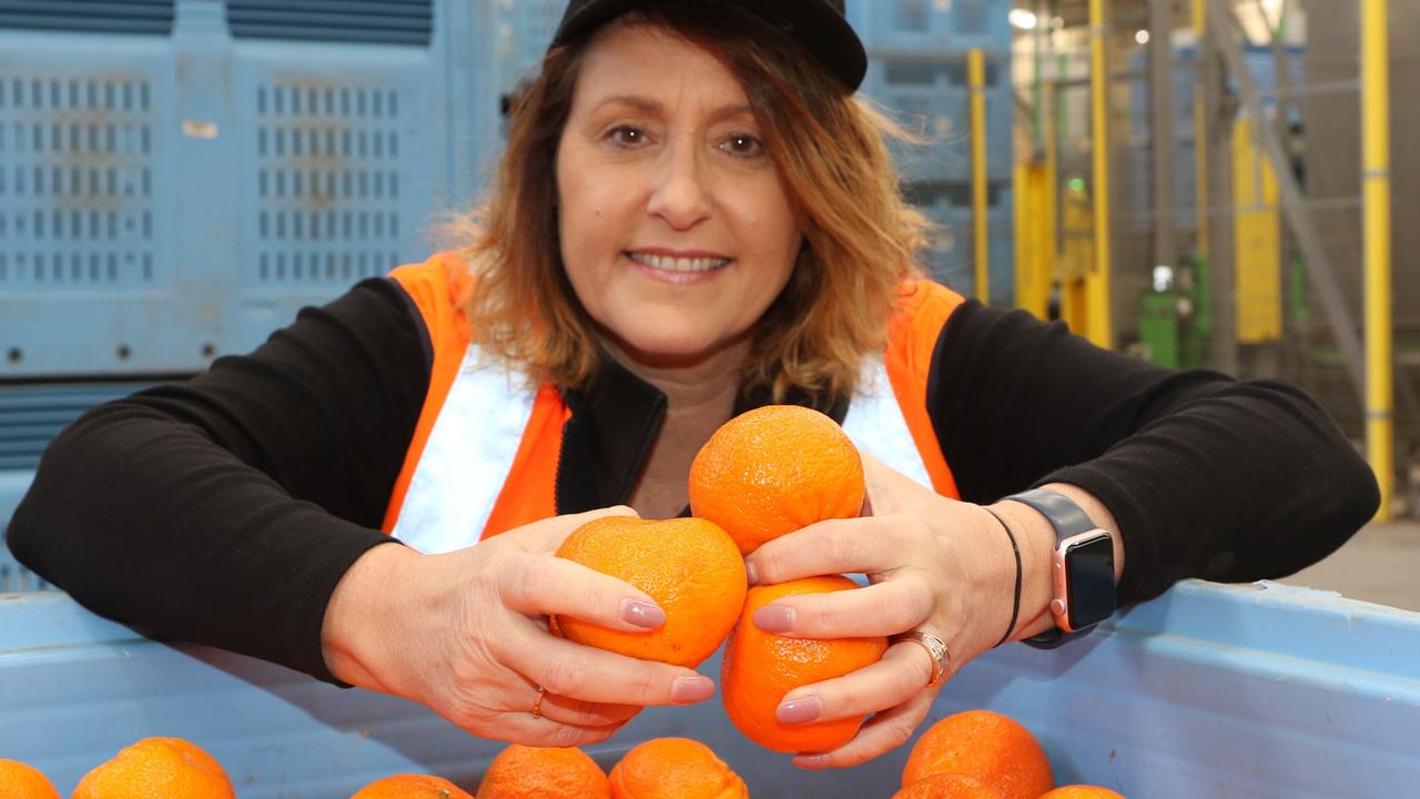 Ready to roll: Tania Chapman at Nutrano Produce’s automated packing shed, where suction caps are used for speed handling and volume fillers pack to exact specifications.