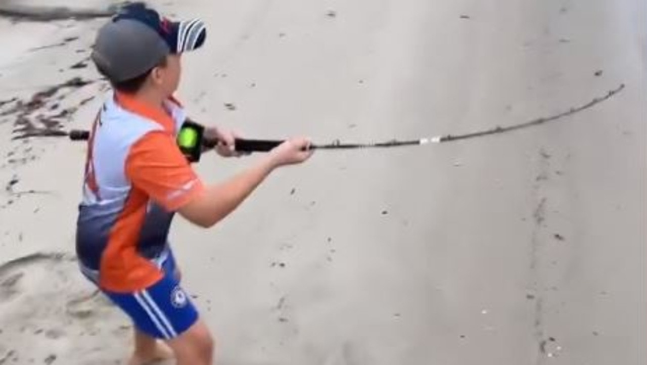 Warning as shock video shows 11yo Jack Green catching bull shark from Gold  Coast canal | Gold Coast Bulletin