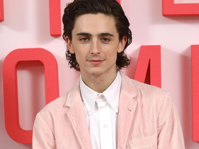 LONDON, ENGLAND - DECEMBER 16:  Timothee Chalamet attends the Little Women London evening photocall at the Soho Hotel on December 16, 2019 in London, England.  Little Women releases in UK cinemas on 26th December. (Photo by Tim P. Whitby/Tim P. Whitby/Getty Images for Sony Pictures Releasing UK)