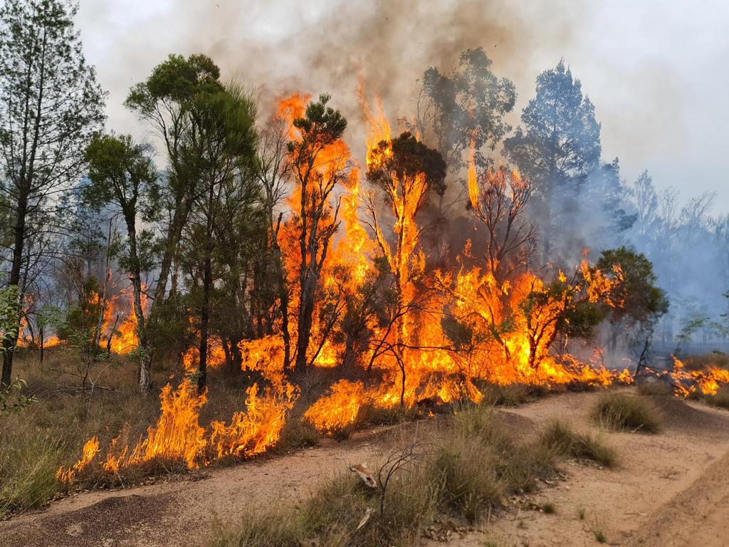 A bushfire tears through Tara in 2023.