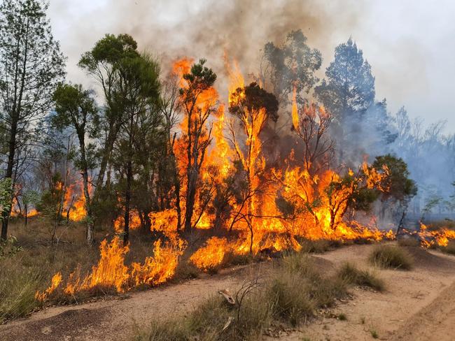 A bushfire tears through Tara in 2023.