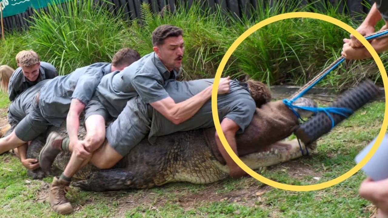 A team at the Australian Reptile Park in NSW had a terrifyingly close call this week with a croc dubbed ‘Australia’s Crankiest Crocodile’.