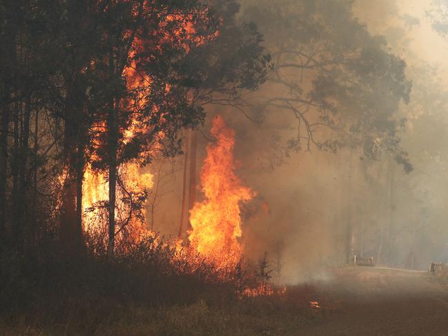 Firefighters battle bushfires in Busbys Flat, northern NSW, Wednesday, October 9, 2019. (AAP Image/Jason O'Brien)