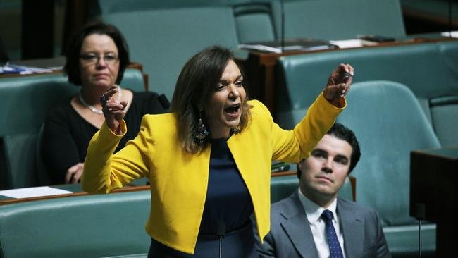 Dr Anne Aly speaks in the House of Representatives. Photo: Gary Ramage