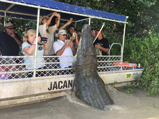 Dominator gives the tourists more than they bargained for as he crashes against the side of the boat on a croc tour on the Adelaide River. Picture: Hayley Sorensen