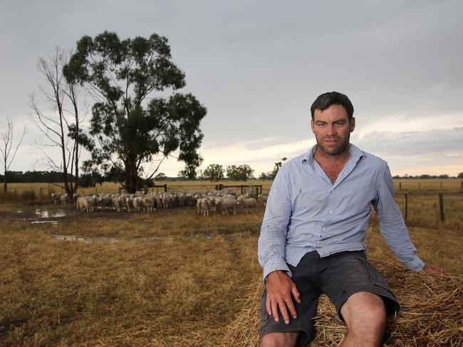 Damian Merrett, lamb producer from Apsley,   Picture Yuri Kouzmin