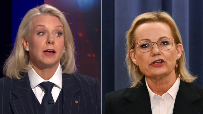 Coalition tensions grow over nuclear future as Ley stays cagey, McKenzie talks it up