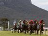Iconic country race cancelled