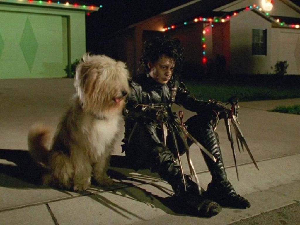 18. Edward Scissorhands (1990)<br/>This Tim Burton classic is a visually stunning and bittersweet story about an outsider finding his place. Edward, with his scissorhands (and seriously iconic haircut), is truly misunderstood. He brings a unique wonder to a cookie-cutter suburban world, but he struggles with fear and rejection. It’s always a rollercoaster of emotions watching old Ed navigate love, loss, and acceptance.