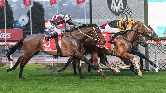 Ashford Street (maroon and white silks) was a half-length from a shock first-up win in top company at The Valley on August 12. Picture: Racing Photos via Getty Images.