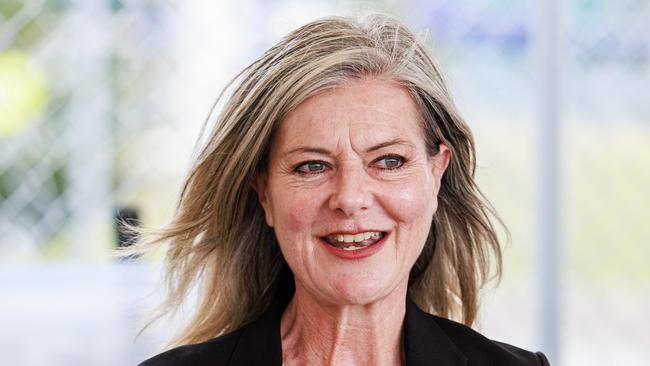 MELBOURNE, AUSTRALIA - Newswire Photos November 6, 2024: Minister for Planning Sonya Kilkenny during a press conference at the site of the Gurner Group new development in Docklands called Elysium Fields. Picture: NewsWire / Aaron Francis