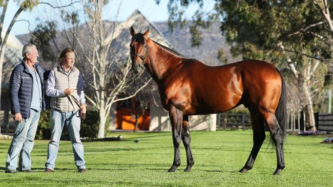 James Bester and Tom Magnier with American Pharaoh (pictured) at Coolmore in the Hunter Valley. Picture: Rohan Kelly