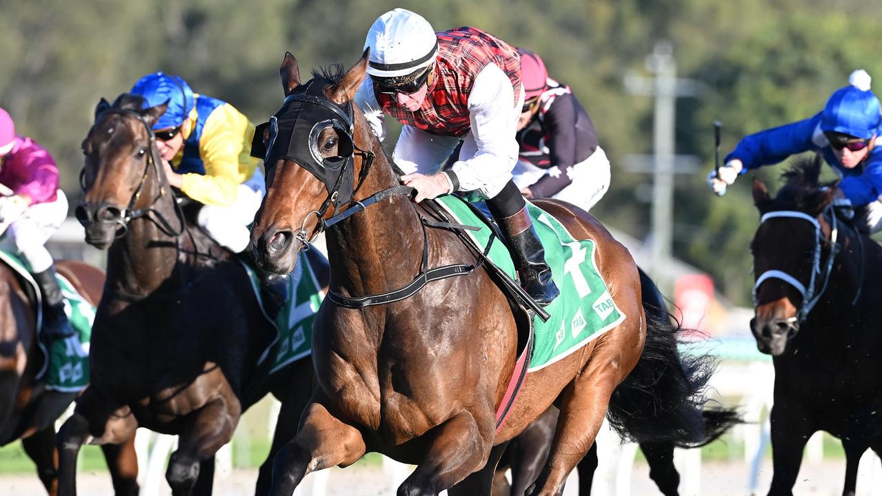 $101 to $11 for Queensland Derby after monster win | news.com.au ...