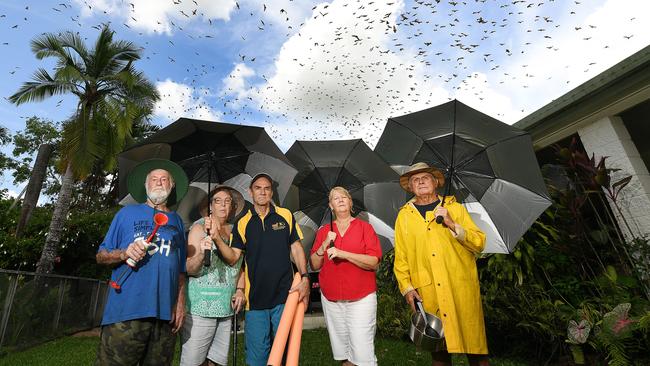 Alice River residents Barry Turville, Leanne Moore, Wade Moore, Helen Townsend and Tony Townsend pictured in one of the back yards which has been infested by flying foxes. Picture: Shae Beplate.