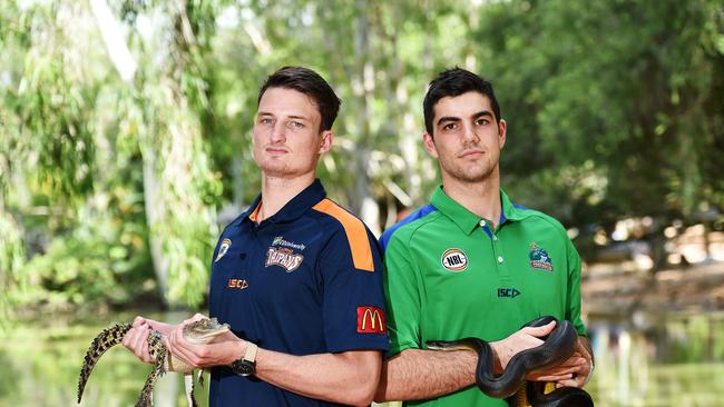 Townsville Crocodiles Corey Maynard and Cairns Taipans Shaun Bruce at Billabong Sanctuary will go head to head this Thursday at the Swamp in Townsville.