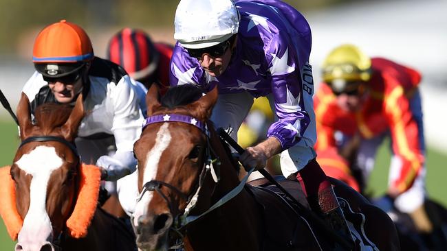 Champion jockey Hugh Bowman and Cellarman combine to take out the Wintergreen Stakes. Picture: AAP