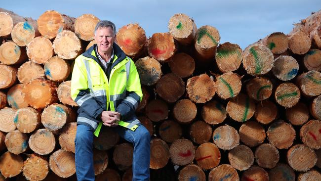 Ian McDonnell, director of N.F. McDonnell &amp; Sons Sawmill, Mt Gambier, is concerned about the impact of border restrictions on the forestry industry. Picture: Tait Schmaal