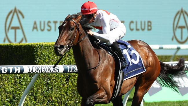 I Am Me resumes in the William Reid Stakes on Saturday. Picture: Jeremy Ng/Getty Images