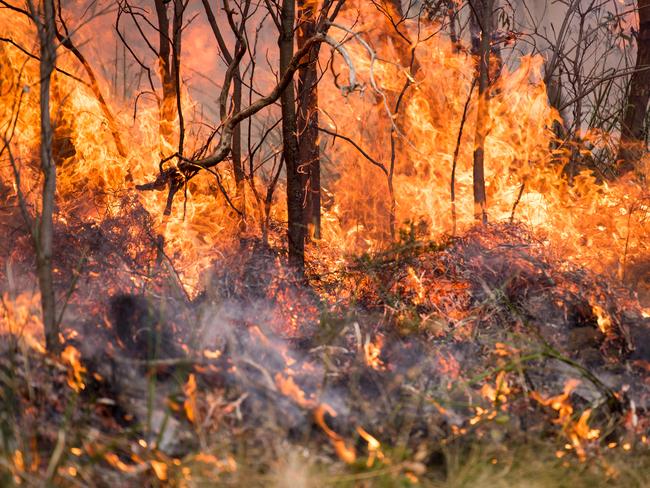 Tas Fire Service, bushfire at Mount Nelson