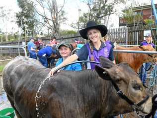 SCRUB-UP: Arabelle Solly and Melanie Stevens from Aldridge State High prepare  their cow for show. Picture: Troy Jegers