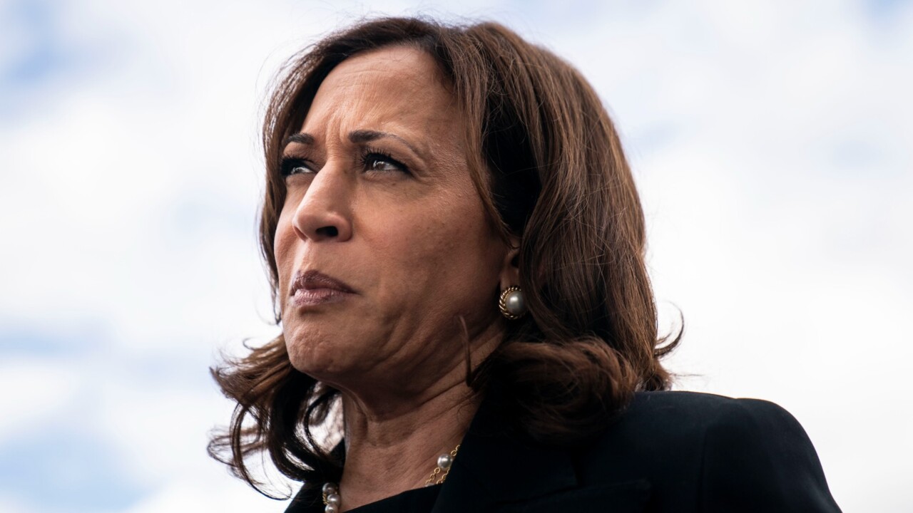 Kamala Harris Presidential Run 2024 Sal Suzanne