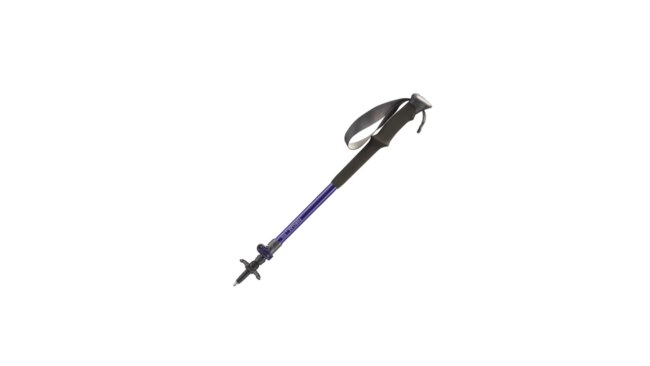 Decathlon Forclaz 100 Ergo Hiking Pole