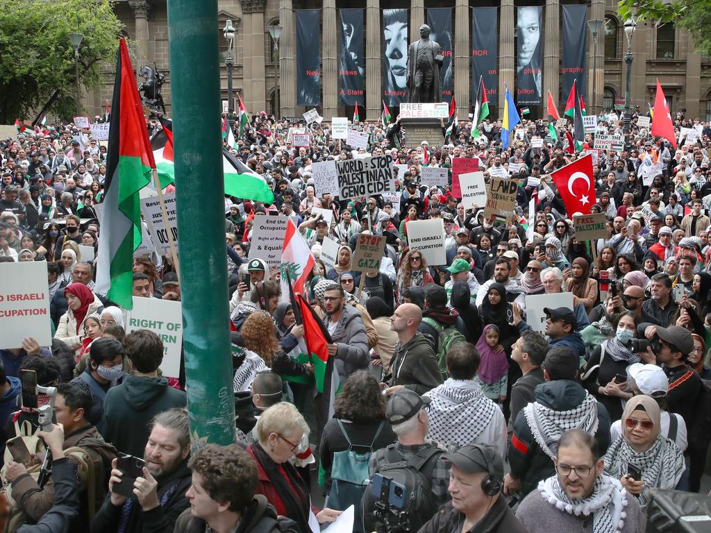 The rally outside the State Library. Picture: David Crosling