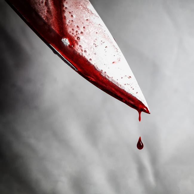 De Baize stabbed her aunt multiple times, leaving her with one wound hat required 15 stitches.