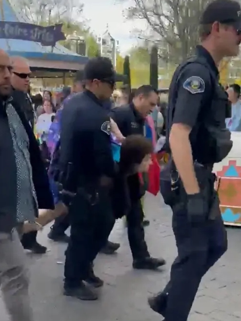 Streaker arrested after parading around Disneyland’s ‘It’s a Small ...