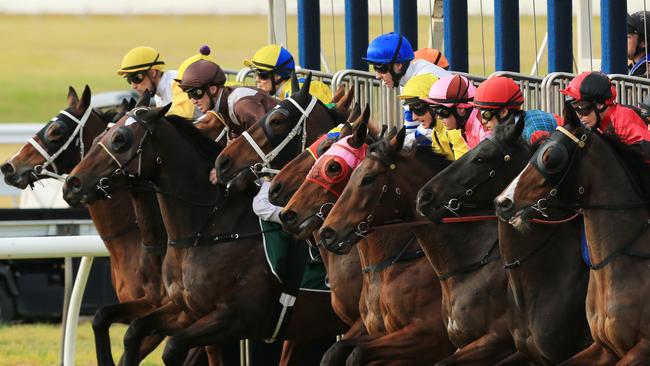 Start of race 5 which was won by James McDonald on Felix Bay during Warwick Farm Races . pic mark evans