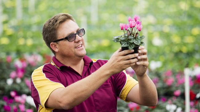 Kyle Newport, of United Nurseries at Hawkesbury Heights. Picture: JUSTIN LLOYD