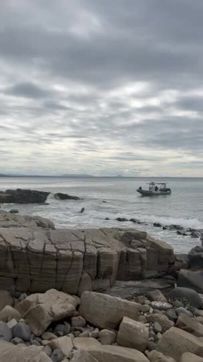 Land, sea search for woman missing in Noosa