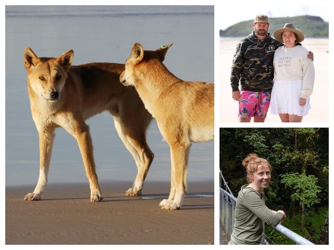 Witnesses have detailed the terrifying moment a woman was attacked by dingoes.