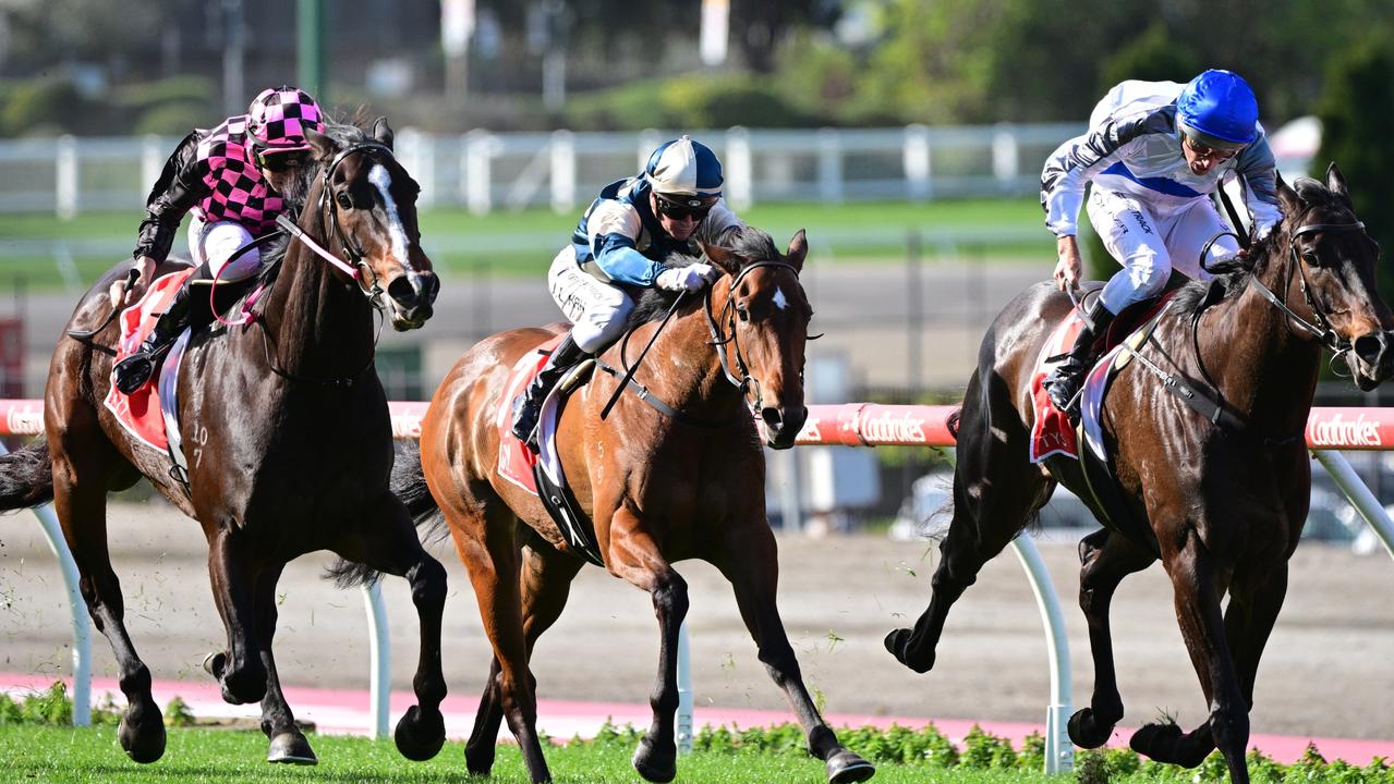 Cox Plate qualified Mr Brightside wins Feehan Stakes, horses to follow ...