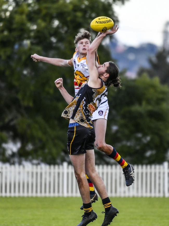 Xavier Sowerby for Cougars and Gabe Stower for Tigers. Toowoomba Tigers vs University Cougars men. AFLDD Allied Cup. Saturday, May 28, 2022. Picture: Nev Madsen.