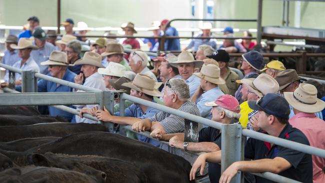 The average steer price at Euroa cattle sales has tracked within a tight $30 range in six of the past eight months.