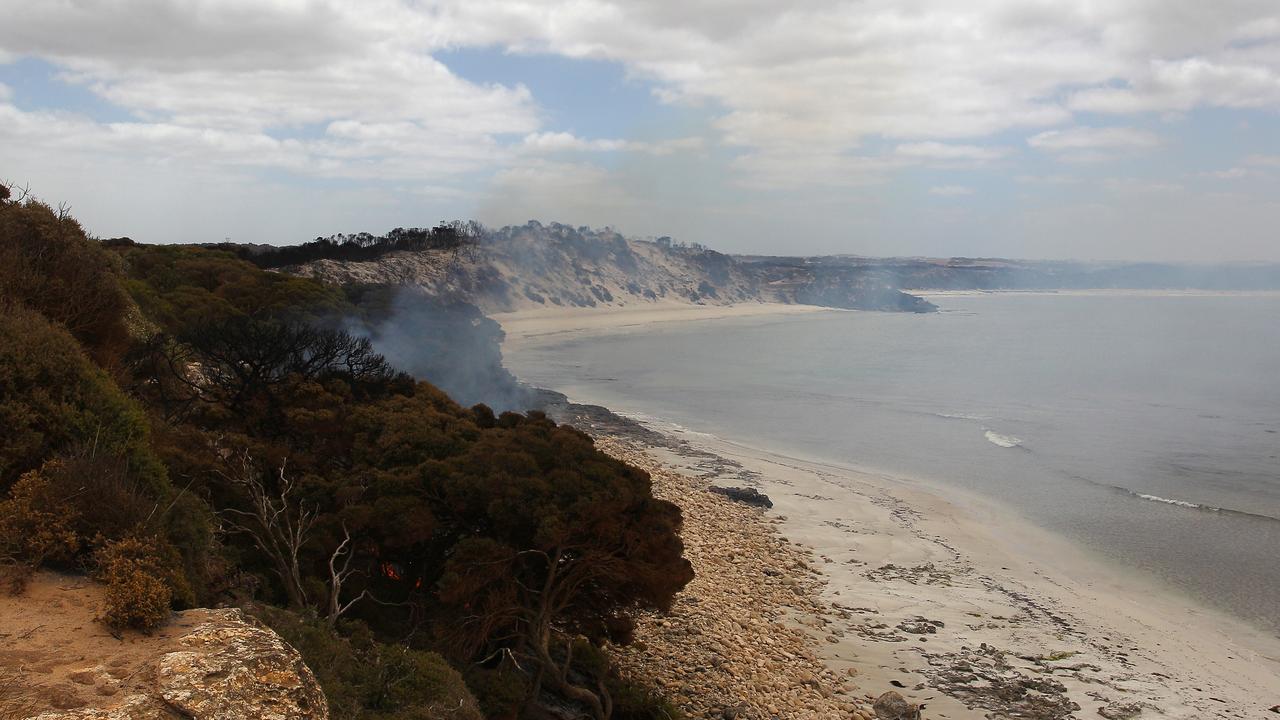 Burnt flora is seen at Vivonne Bay on January 11 on Kangaroo Island. Picture: Lisa Maree Williams/Getty Images