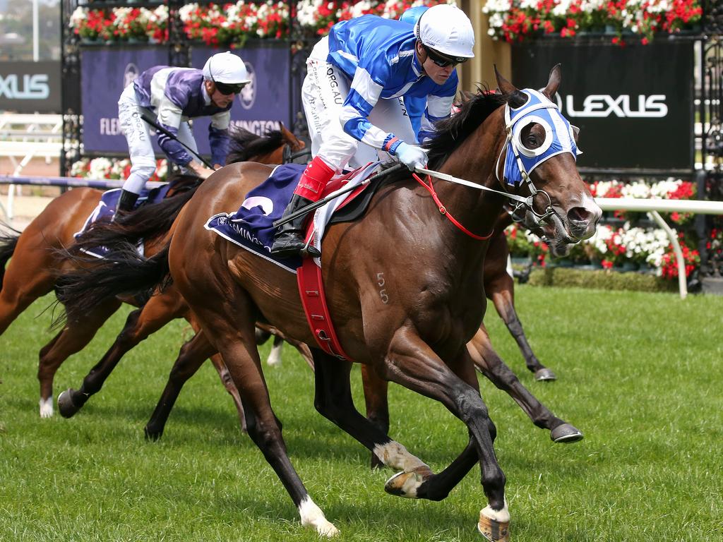 Craig Williams after Bold Star saluted at Flemington.