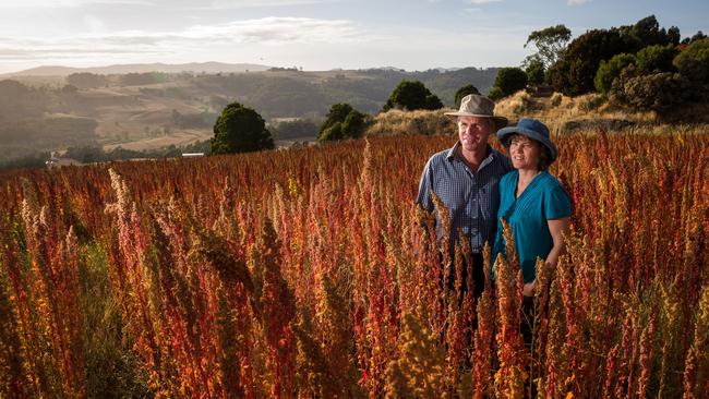 Lauran &amp; Henriette Damen of Kindred Organics with some of their Quinoa crop.