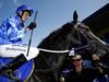 Symons: Spurs assist riders, don’t hurt horses