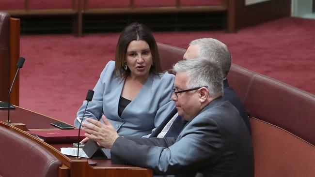 Jacqui Lambie in the Senate chamber at Parliament House in Canberra. Picture Kym Smith