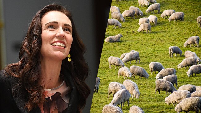 Jacinda Ardern has announced a concensus on climate change.