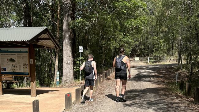 The start of the track at Mt Beerwah. Picture: Letea Cavander