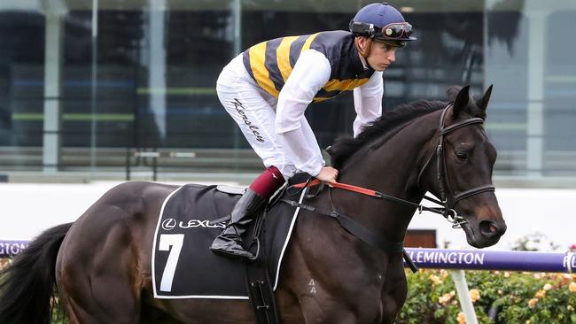 Future Score and Fred Kersley on the way to the barriers before the Hotham Stakes at Flemington. Picture: Getty Images