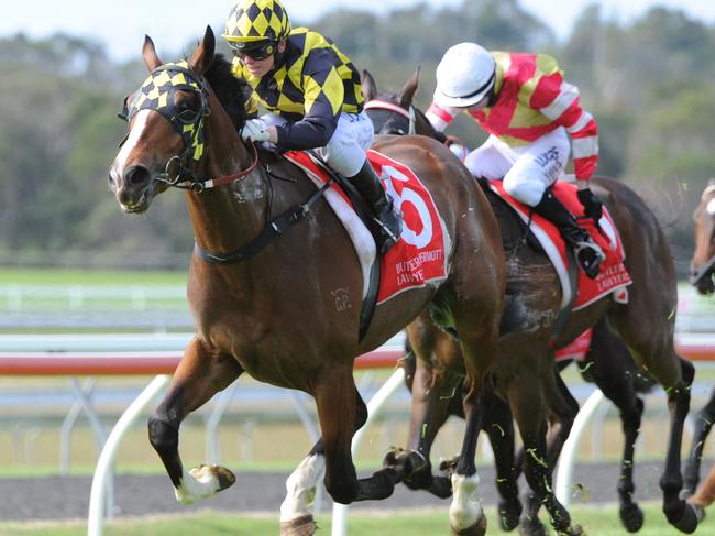 Promising two-year-old Shotacross The Bow romps home for Bridget Grylls. Picture: Grant Peters, Trackside Photography