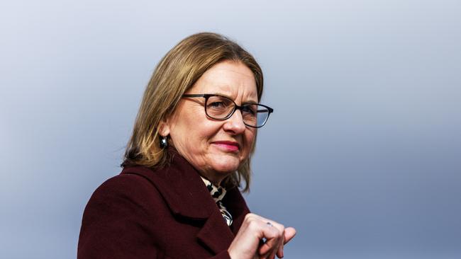 MELBOURNE, AUSTRALIA - Newswire Photos May 29, 2025: Premier Jacinta Allan ahead of a press conference at Melbourne AirportÃs new solar farm. Picture: NewsWire / Aaron Francis