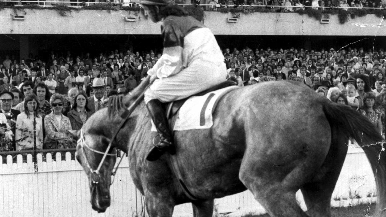 03/04/2001. APRIL 21, 1973: Racehorse Gunsynd ridden by jockey Kevin Langby, bows to crowd in stands at Randwick following his last race, 21/04/73. Pic News Limited.