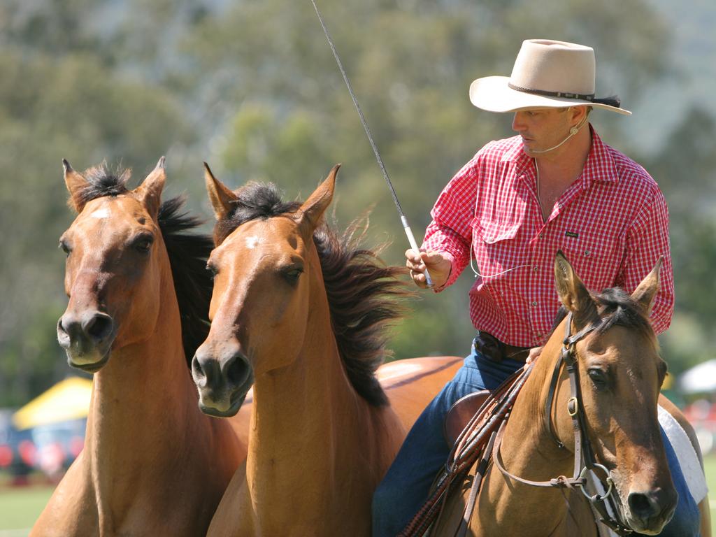 Master horseman: Susan River’s Guy McLean.