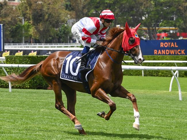 The Gerald Ryan and Stirling Alexiou-trained Skyhook is on a Golden Slipper path and will take his next step in Saturday's Skyline Stakes at Royal Randwick. Picture: Bradley Photos